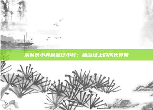 从队长小翼到足球小将：绿茵场上的成长传奇