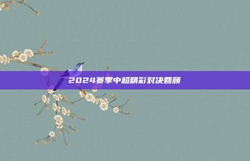 2024赛季中超精彩对决回顾