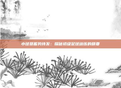 小球员蓄势待发：探秘初级足球训练的精要