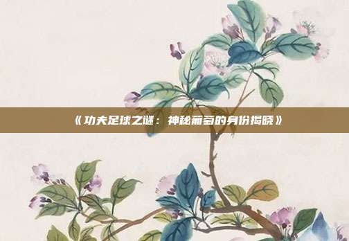 《功夫足球之谜：神秘葡萄的身份揭晓》