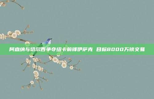 阿森纳与切尔西争夺纽卡前锋伊萨克 目标8000万镑交易