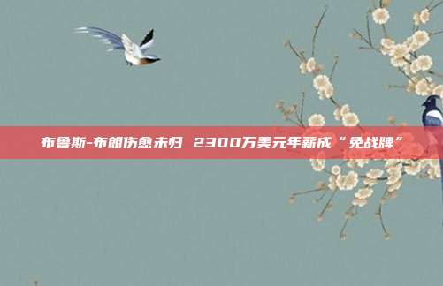 布鲁斯-布朗伤愈未归 2300万美元年薪成“免战牌”