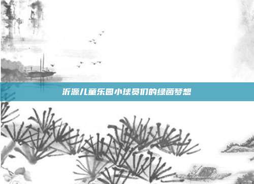 沂源儿童乐园小球员们的绿茵梦想