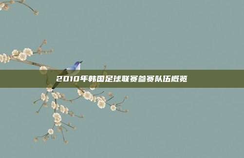 2010年韩国足球联赛参赛队伍概览