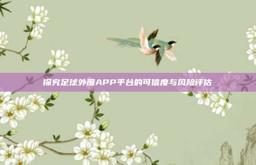 探究足球外围APP平台的可信度与风险评估