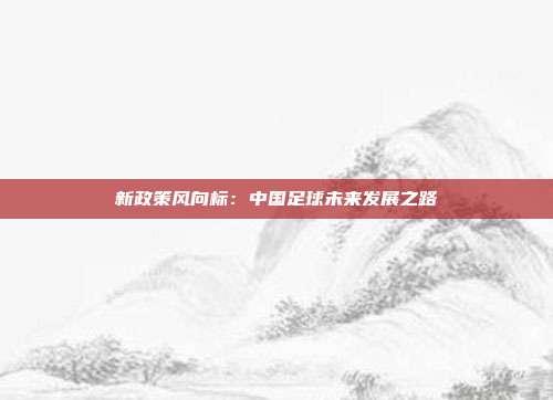 新政策风向标：中国足球未来发展之路