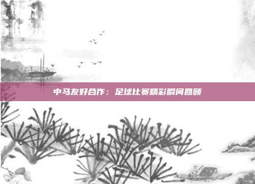 中马友好合作：足球比赛精彩瞬间回顾