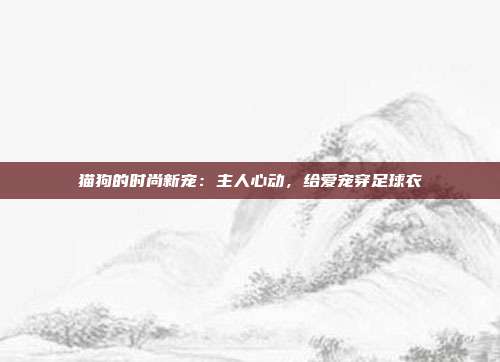 猫狗的时尚新宠：主人心动，给爱宠穿足球衣