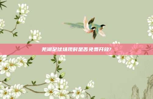 芜湖足球场现时是否免费开放?