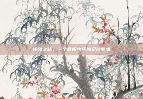 逆袭之路：一个骨折少年的足球梦想