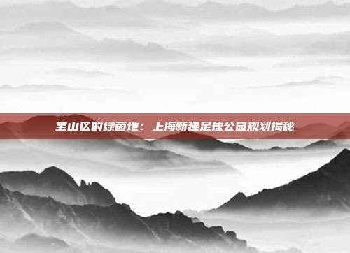 宝山区的绿茵地：上海新建足球公园规划揭秘